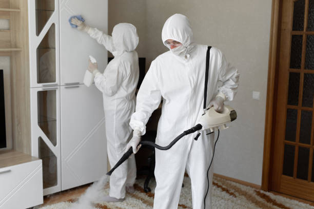 Best Post-Flood Mold Remediation in Canal Winchester, OH